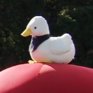 Meet your Posher, Mark